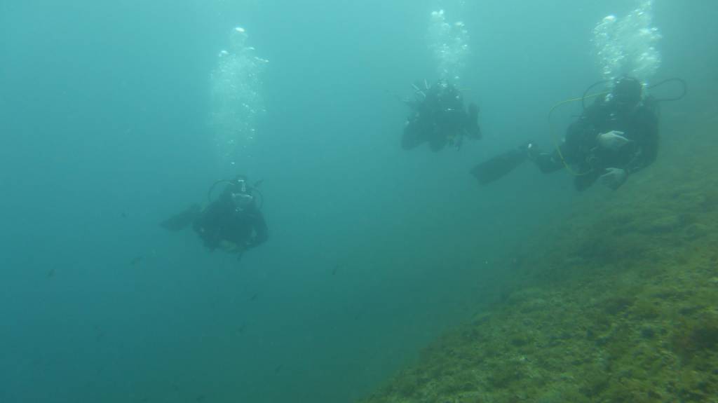 Plongeurs à l'approche